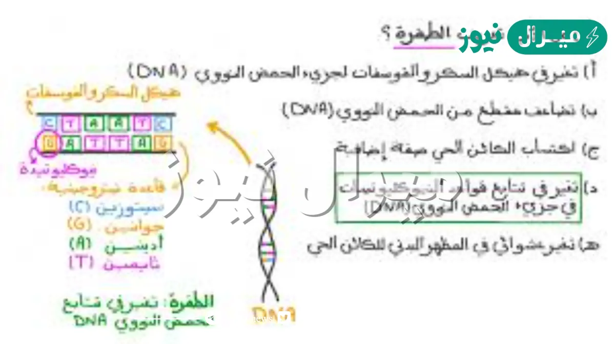 ما هو معنى طفرة