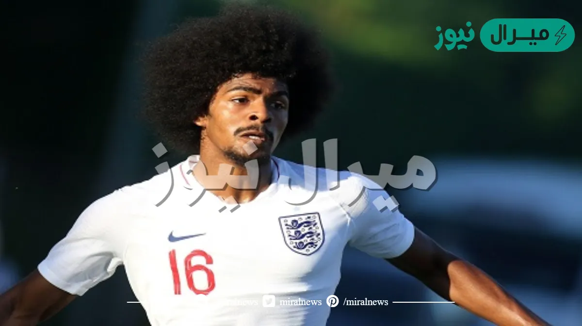 ما هي أصول حمزة تشودري