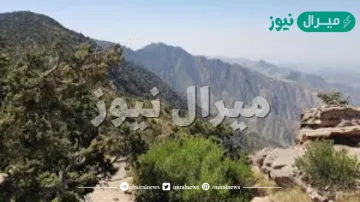 ما هي اعلى قمة في السعودية