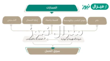 ما هي المسارات التطويرية
