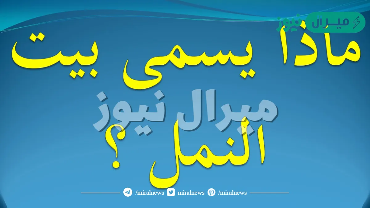 ماذا يسمى بيت النمل