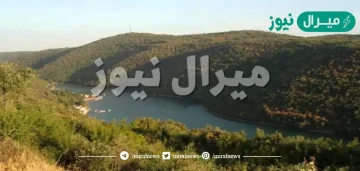 ماهي اكبر شبه جزيرة في العالم