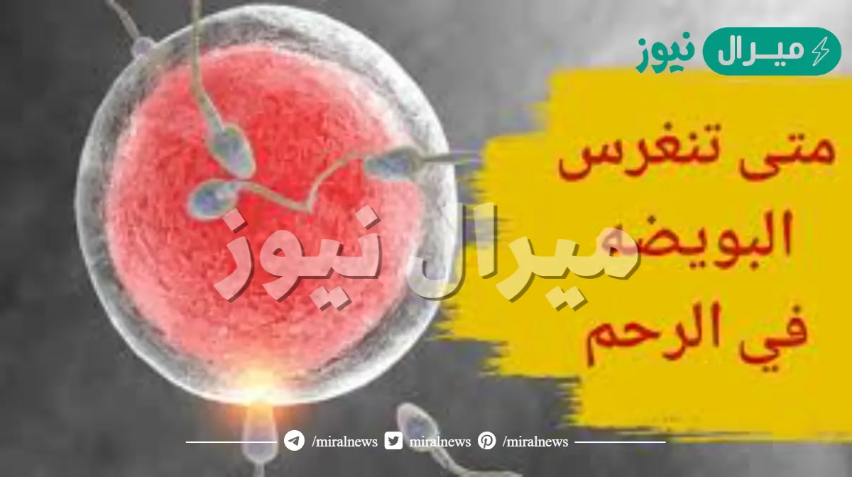 متى تنغرس البويضة في الرحم