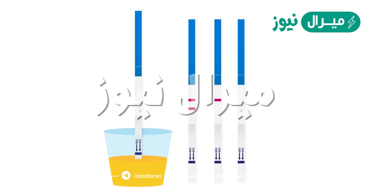 متى يظهر هرمون الحمل في البول