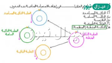 من المسؤول عن نضج الخلايا التائية