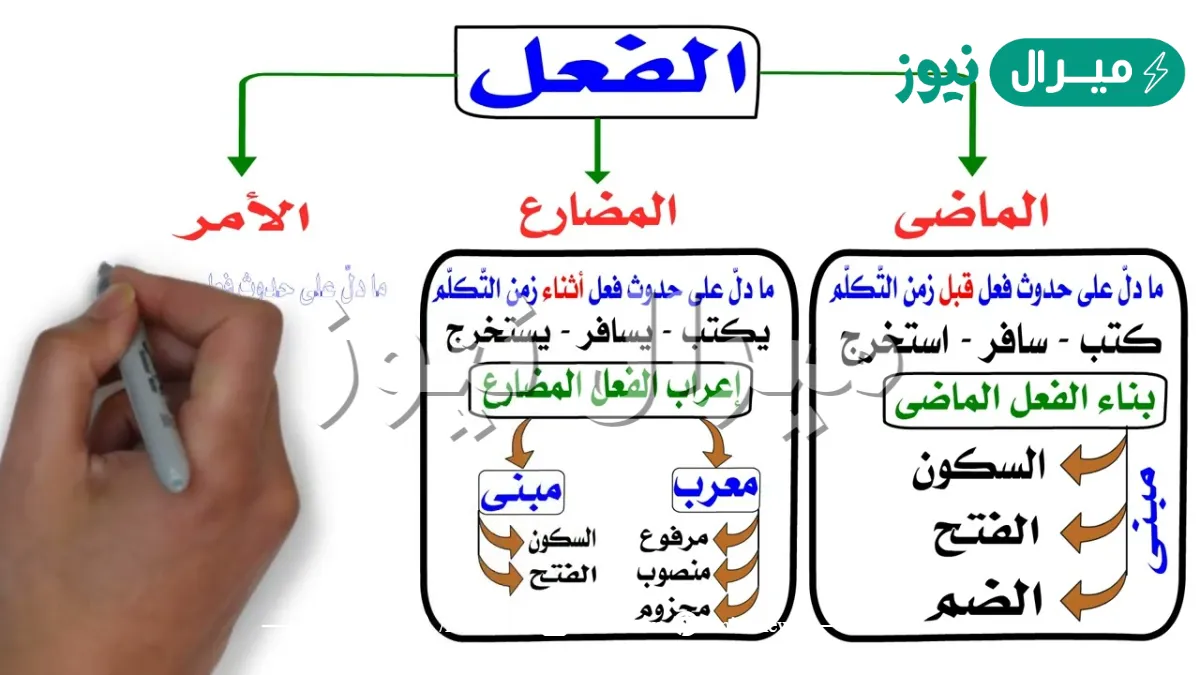 من انواع الفعل