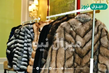 من اين يستخرج اغلى انواع الفراء