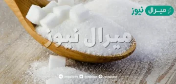 من اين يستخرج السكر ؟