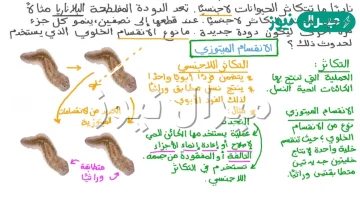 وجود أكثر من عائل ضروري لإتمام عملية التكاثر في الديدان الأسطوانية