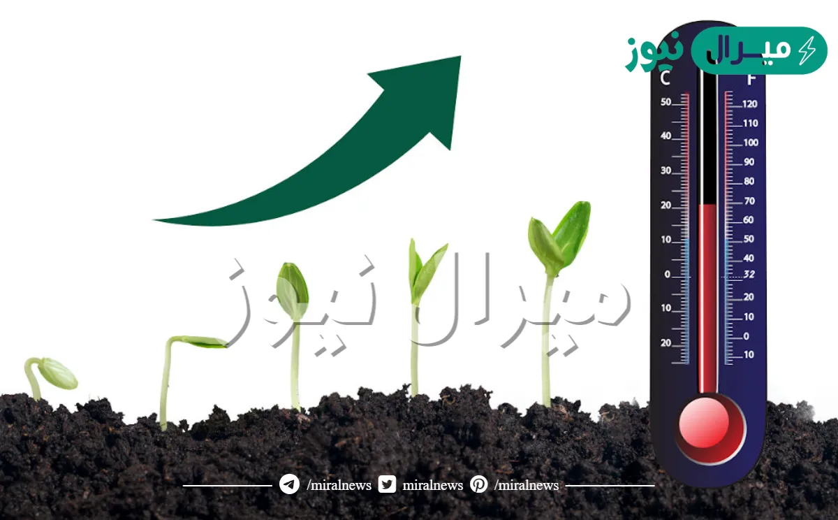 افضل درجه حراره لنمو النباتات