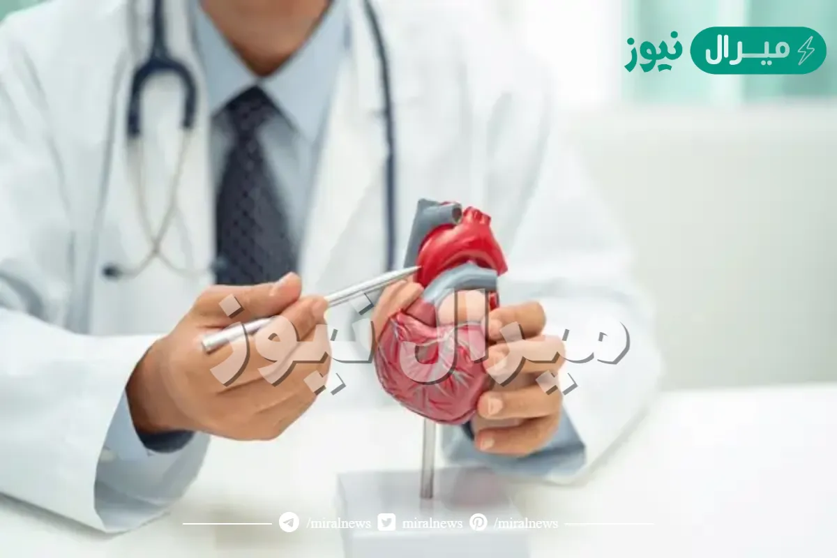 افضل دكتور قلب في جدة