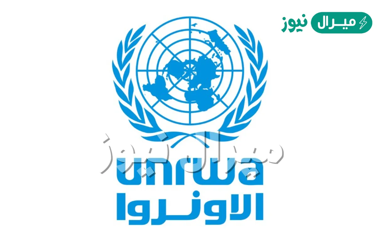 التسجيل في صناعة الوكالة