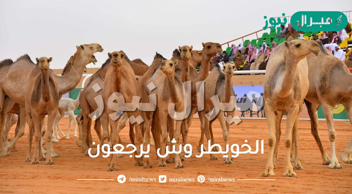 الخويطر وش يرجعون