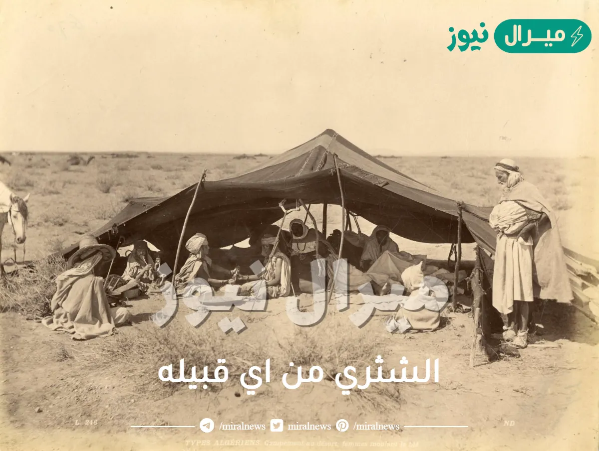 الشثري من اي قبيله