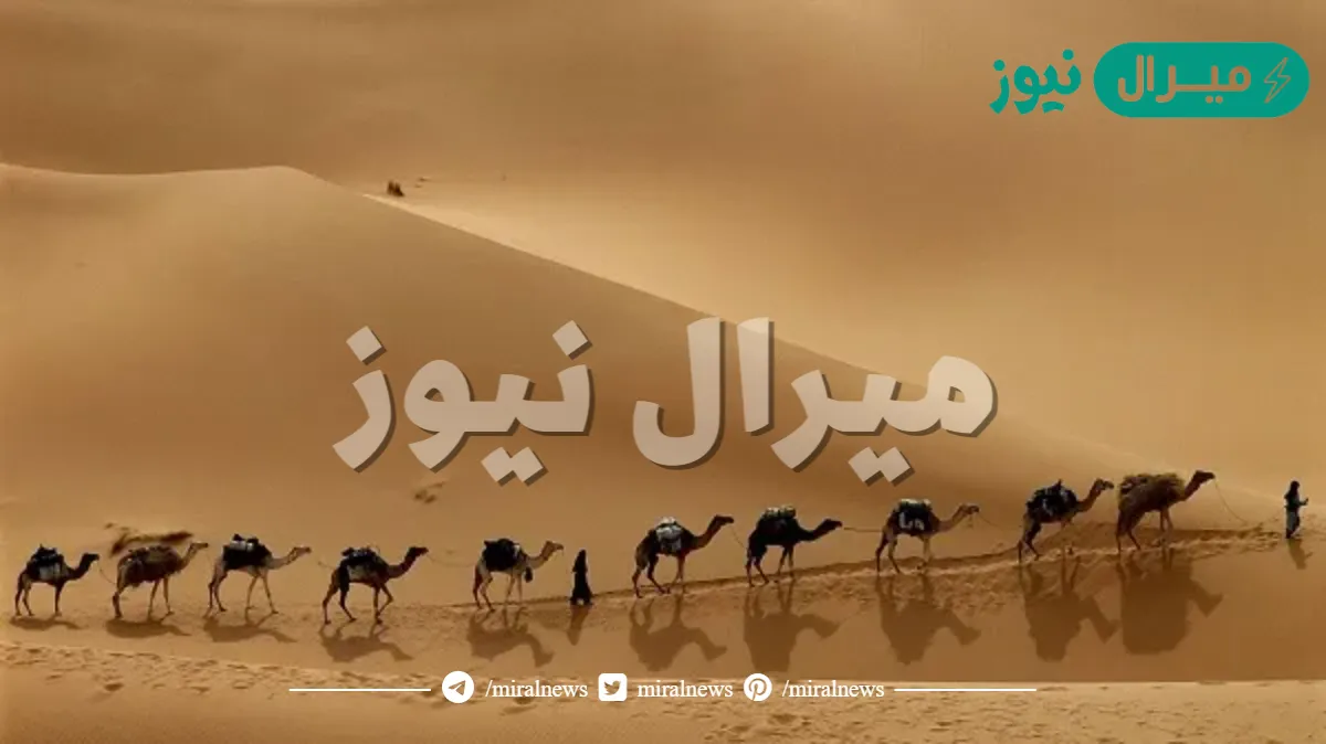 القويز وش يرجعون