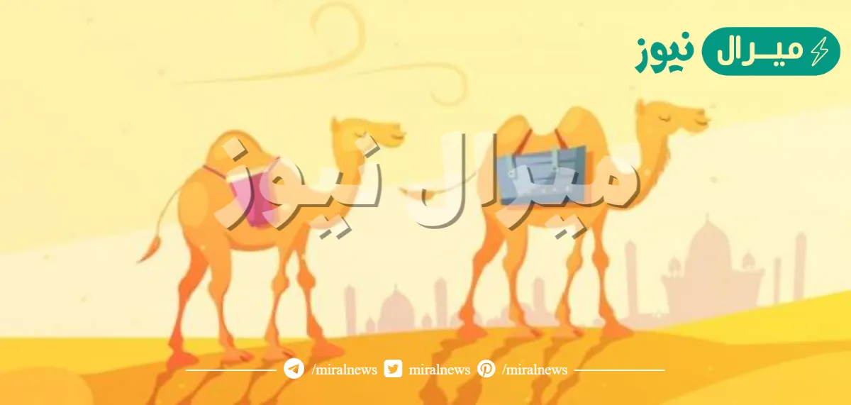 اول مولود في الاسلام بعد الهجرة