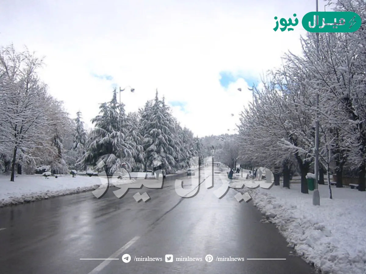 اين تقع سويسرا العرب