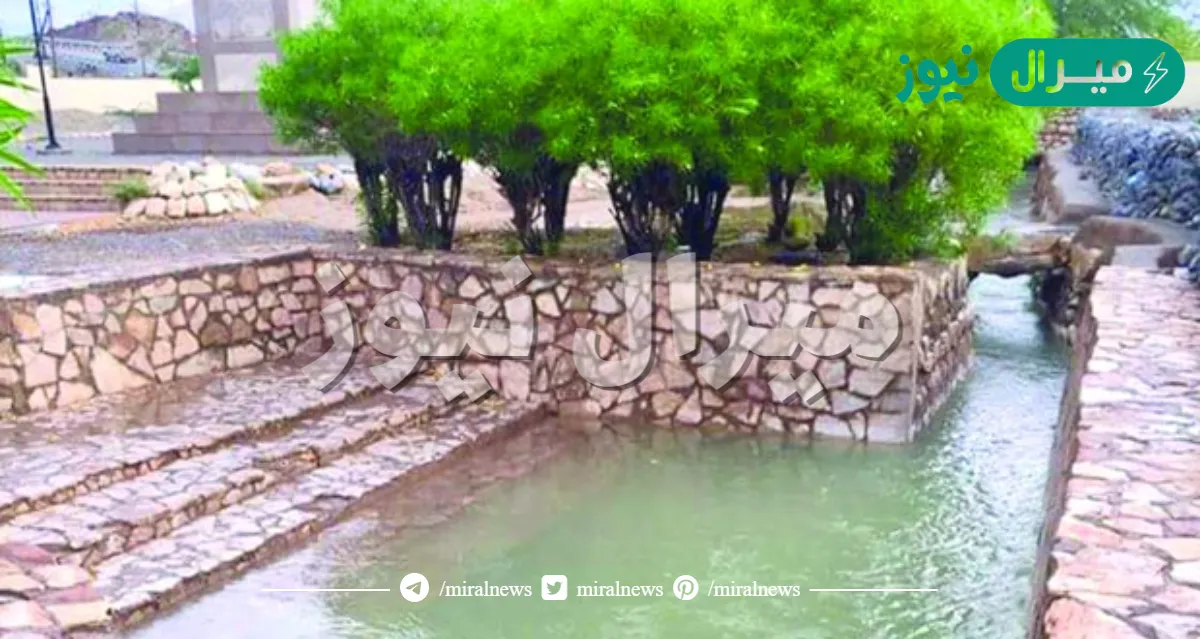 اين يقع فلج دارس