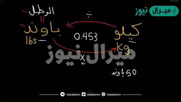 تحويل من باوند الى كيلو
