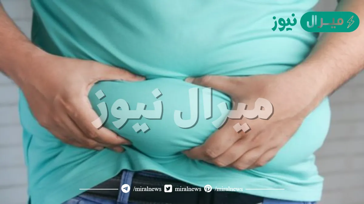 تفسير حلم رؤية الشخص السمين في المنام لابن سيرين