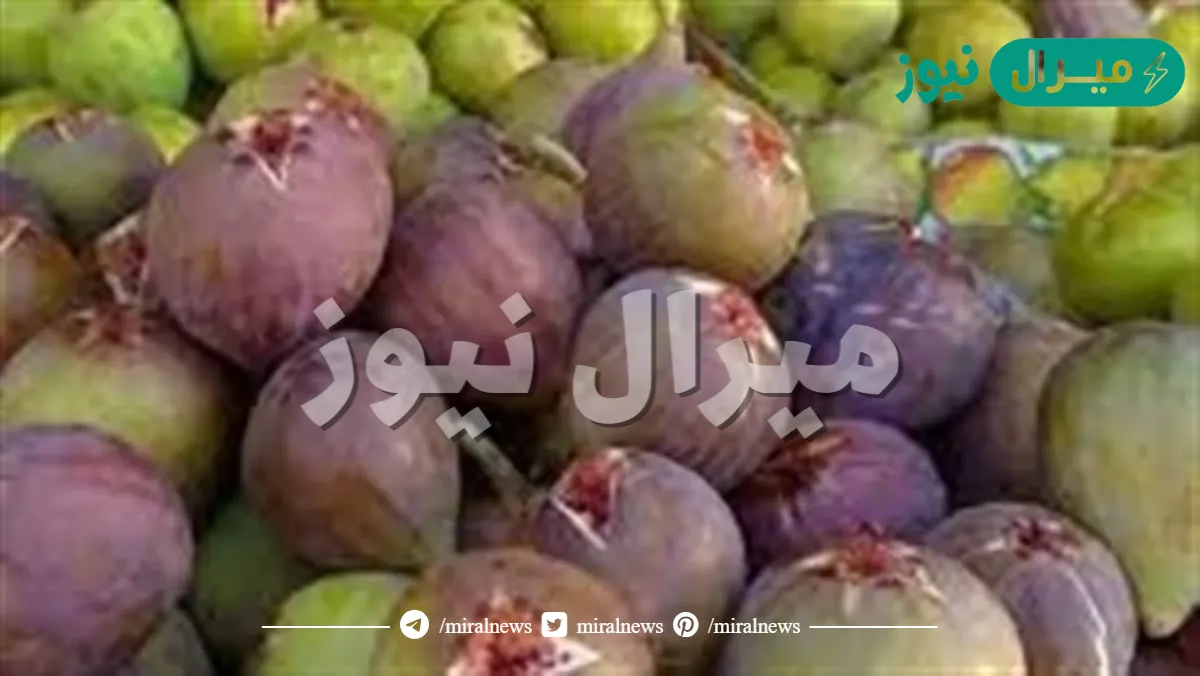 تفسير رؤية التين في المنام لابن سيرين والنابلسي