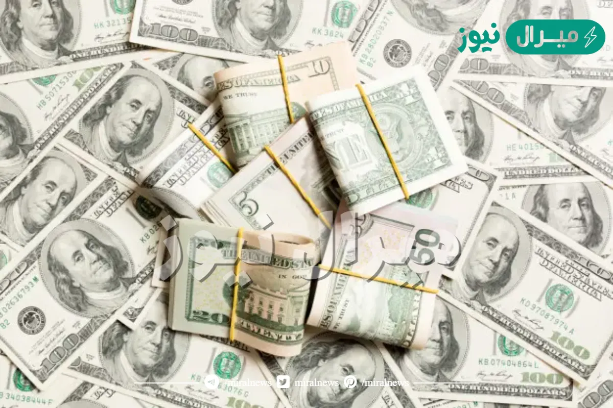 تفسير رؤية شنطة فيها فلوس في المنام بالتفصيل