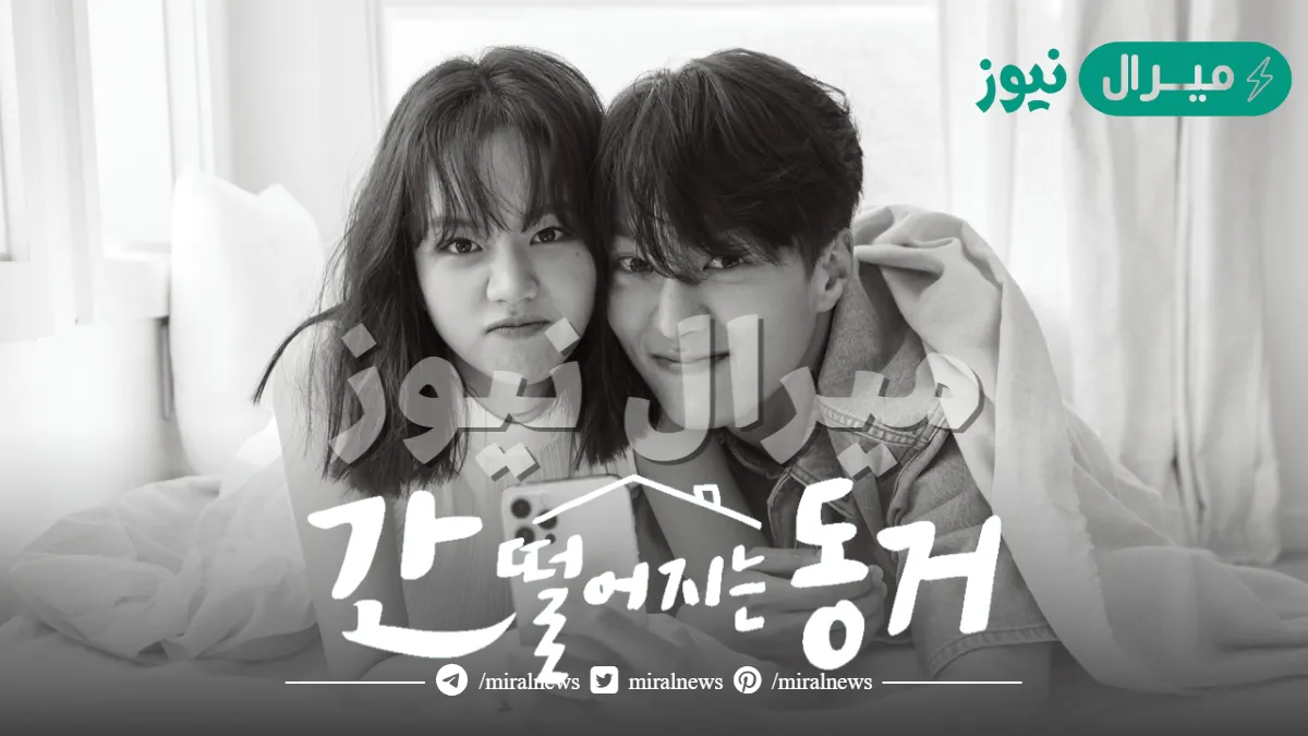 قصة مسلسل رفيقي في السكن ثعلب الكاملة