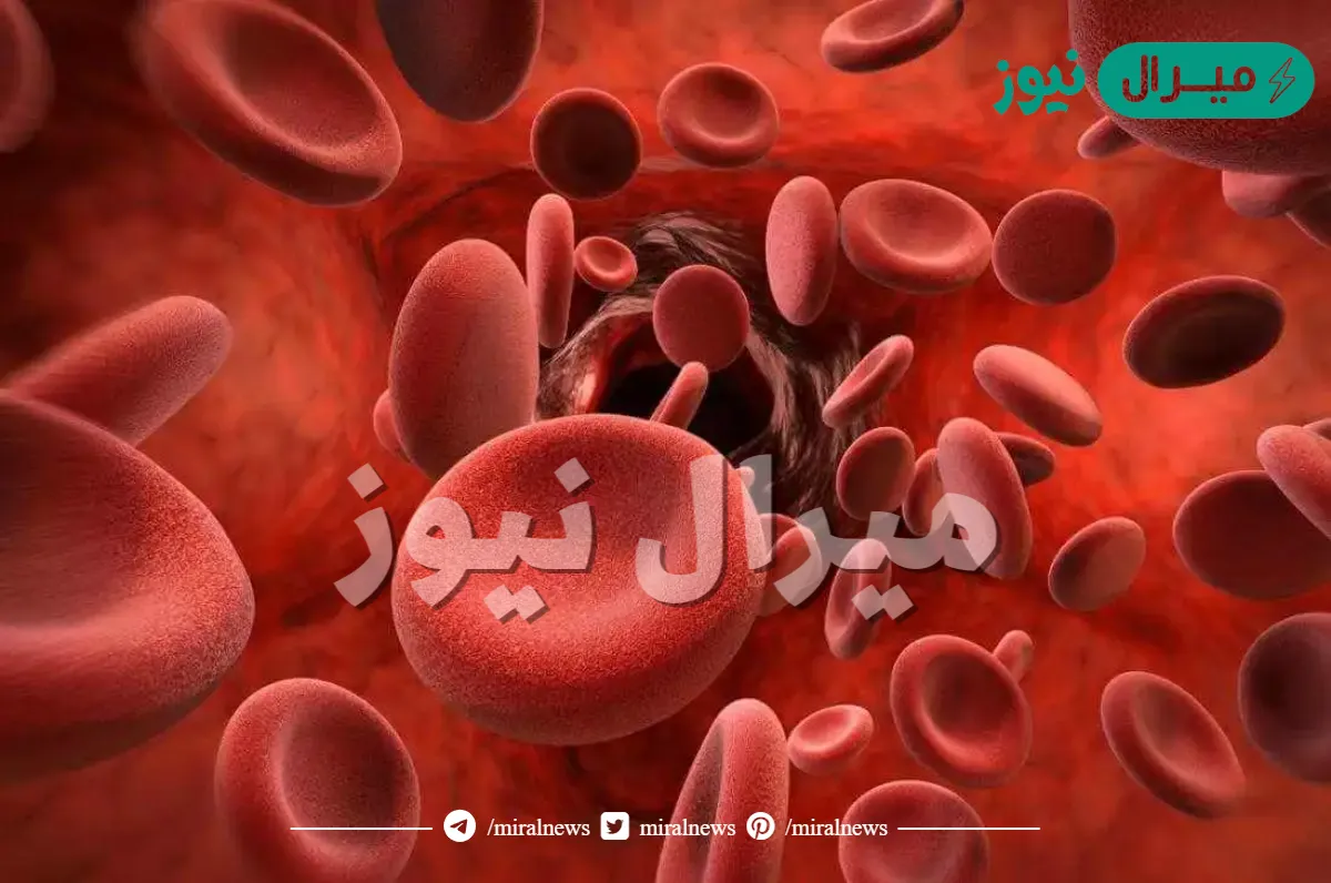 كم خليه دم حمراء يستطيع الجسم انتاجها في اليوم الواحد