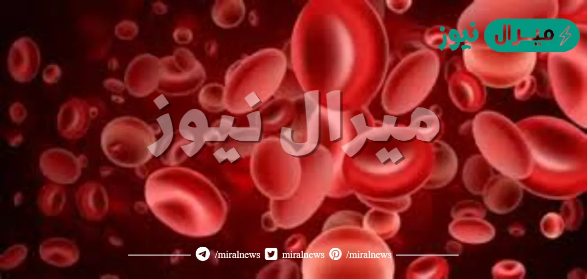 كم عدد خلايا الدم التي يتمكن الجسم من إنتاجها في 24 ساعة