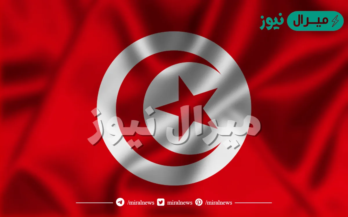 كم عدد رؤساء الحكومة تونس بعد الثورة