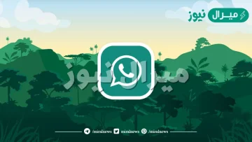 كيف اخفي ظهوري في الواتس وانا متصل