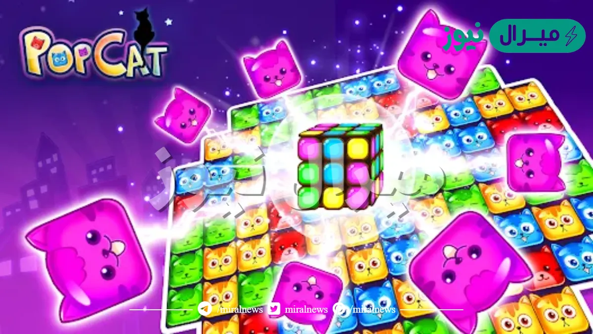 كيف اشارك في لعبة POP CAT وكيف أجمع نقاط منها