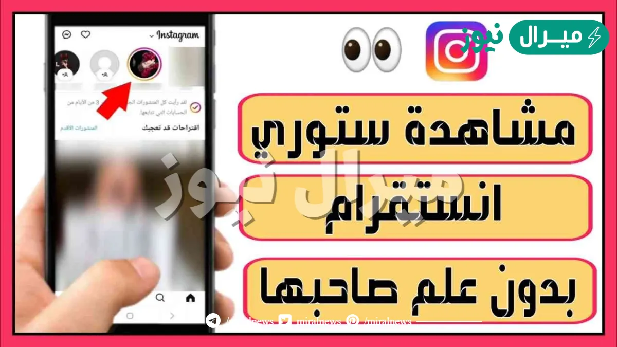 كيف اشوف ستوري الانستقرام بدون مايدري