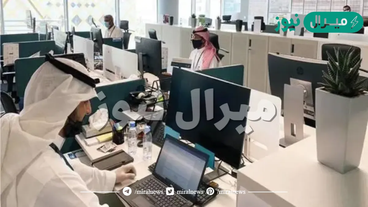 كيفية معاملة الموظفين والعمال في القطاعات المستهدفة بالتحول والتخصيص