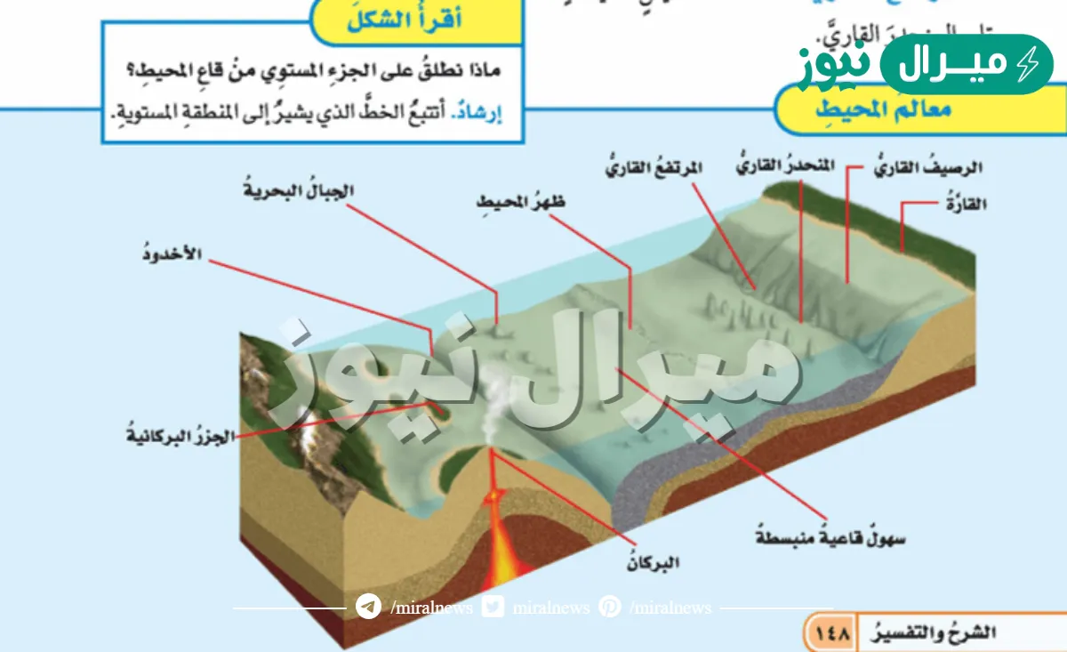 ما السهول القاعية المنبسطة