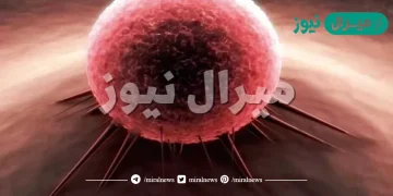 ما هو مرض الجمرة الخبيثة