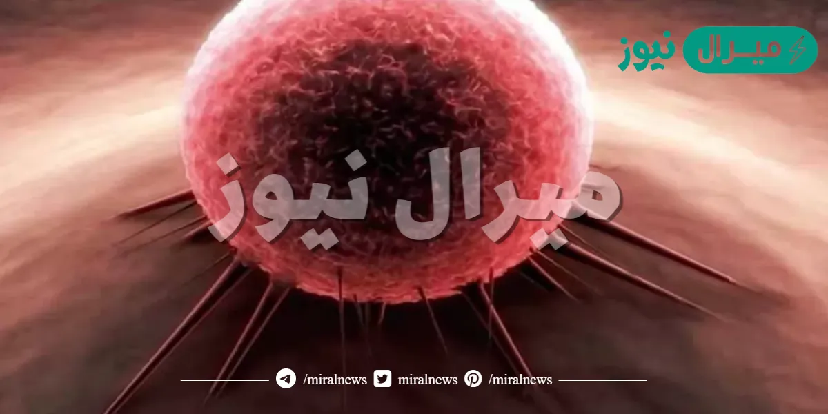 ما هو مرض الجمرة الخبيثة