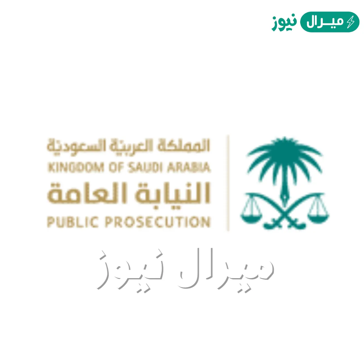 ما هي النيابه العامه وطبيعة وظائف النيابة العامة للنساء