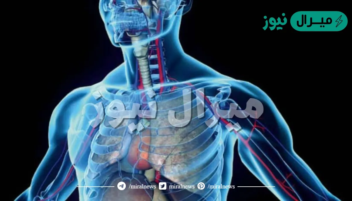 ماهو العنصر الكيميائي المنتشر في جسم الإنسان