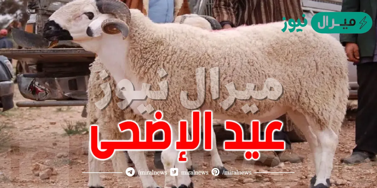 متى سيكون عيد الاضحى