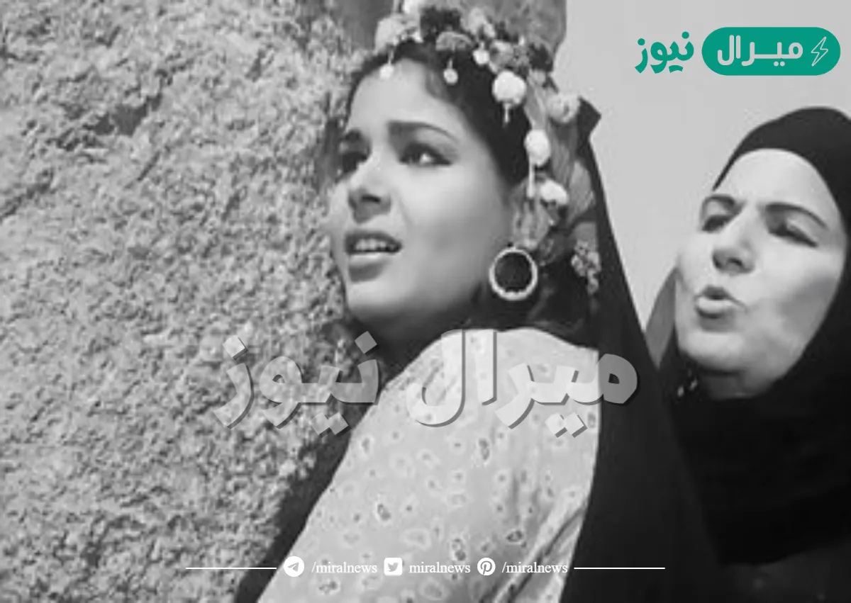 معلومات عن زيزي فريد ويكيبيديا