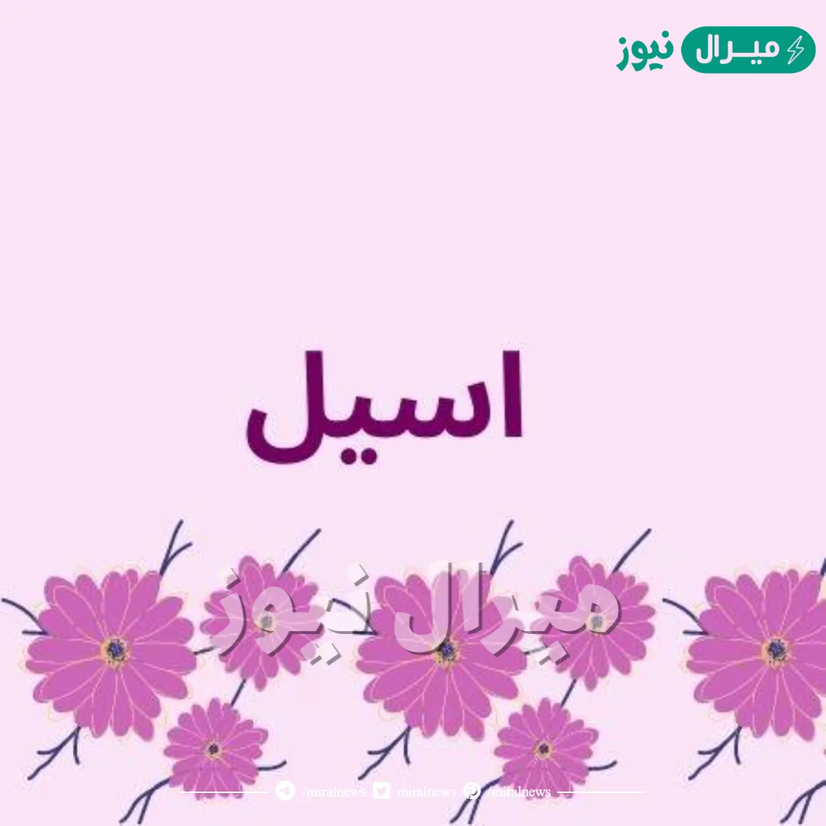 معنى اسم أسيل Aseel وأسرار شخصية حاملة الاسم