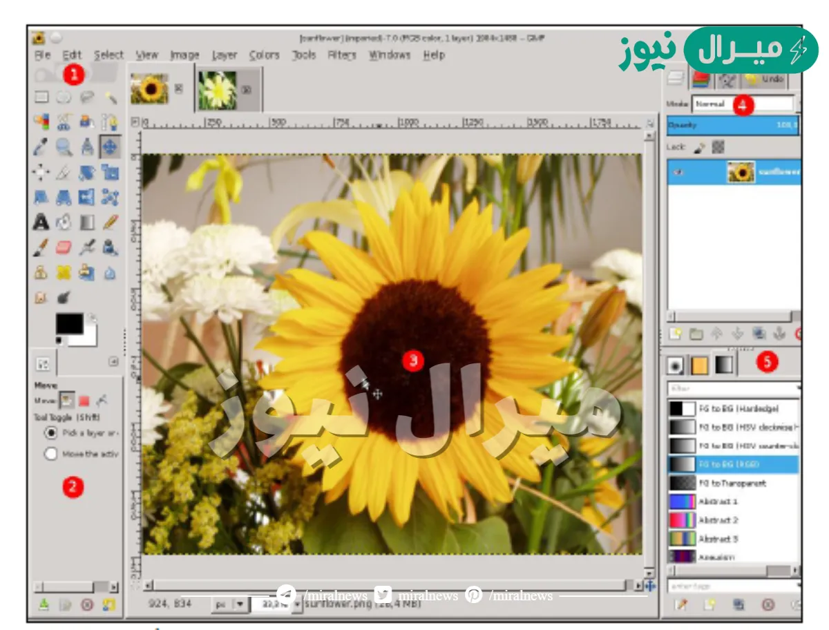 من مكونات واجهة برنامج gimp