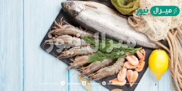 هل اكل السمك يزيد الشهوة