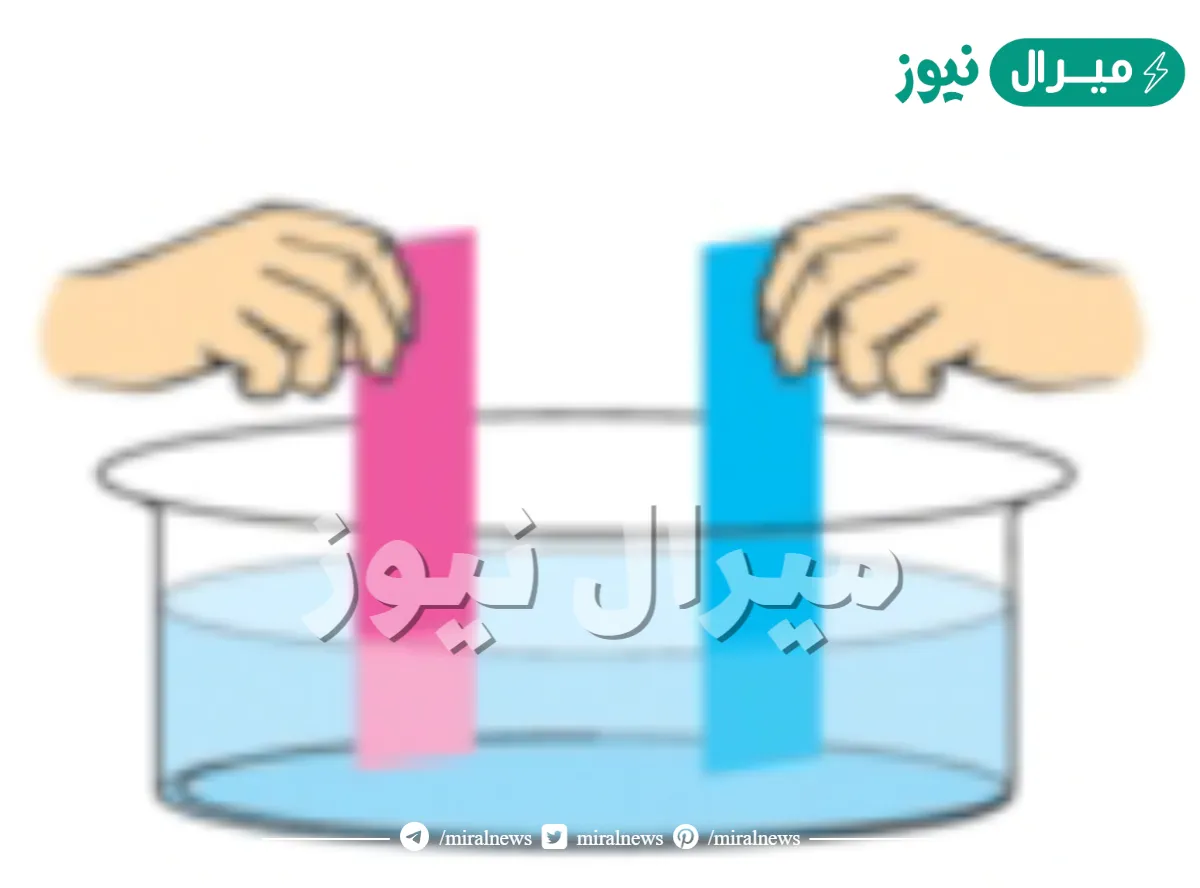 هل الماء النقي متعادل