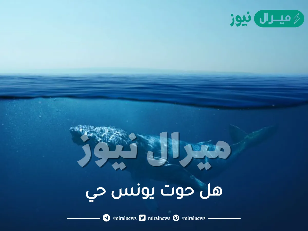 هل حوت يونس حي