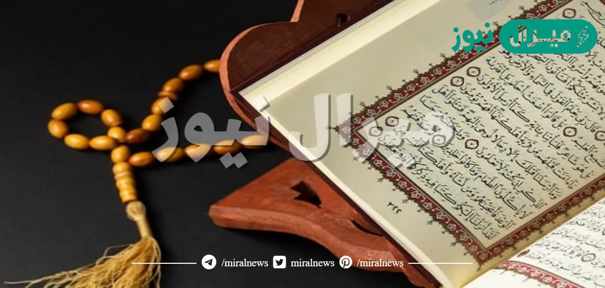 هل قراءة سورة البقرة يوميا بدعة