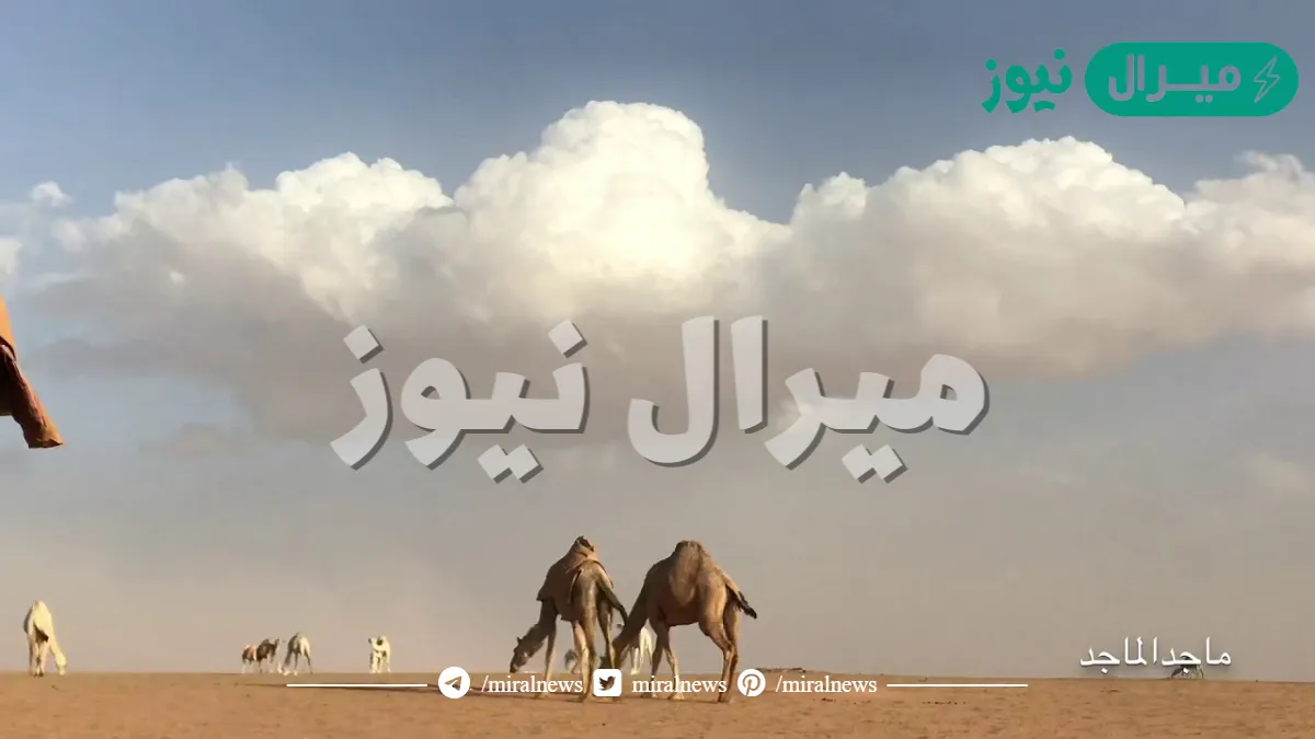 يامن يبشرني متى يطلع سهيل