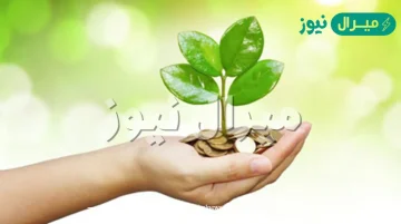 أهم 10 أسباب لسعة الرزق