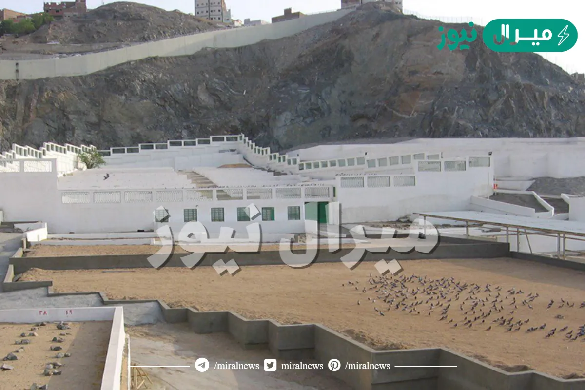 ابن عم خديجة الذي ساعد الرسول